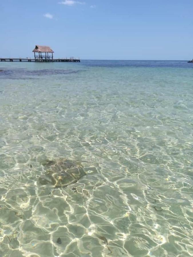 Torre Aguamarina Lägenhet Campeche Exteriör bild